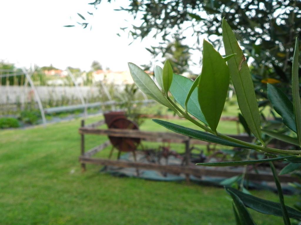 Agriturismo 30 Moniga del Garda المظهر الخارجي الصورة