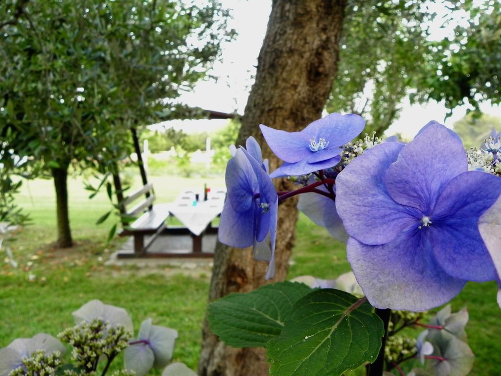 Agriturismo 30 Moniga del Garda المظهر الخارجي الصورة